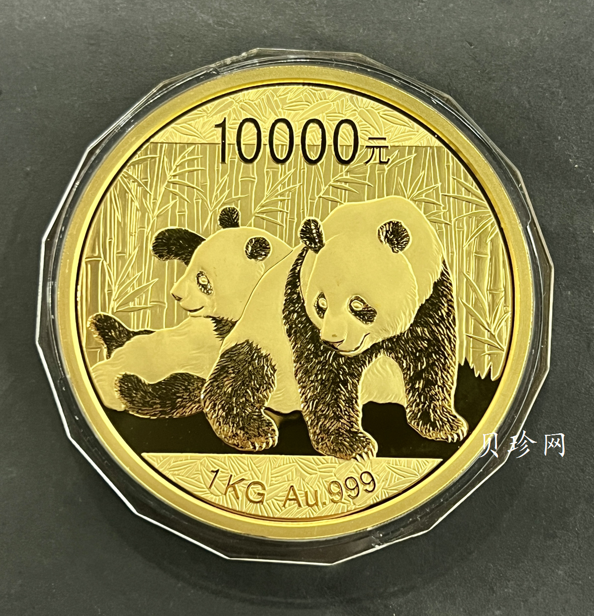 【100107】2010年熊猫1公斤金币