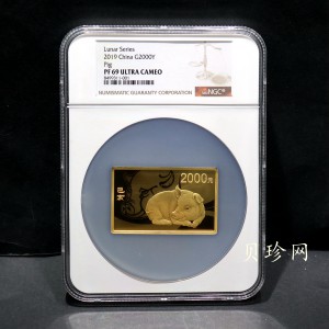 【191109】2019中国己亥（猪）年金银纪念币150克长方形金币