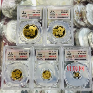 【199030】2019年熊猫套金猫5枚一套